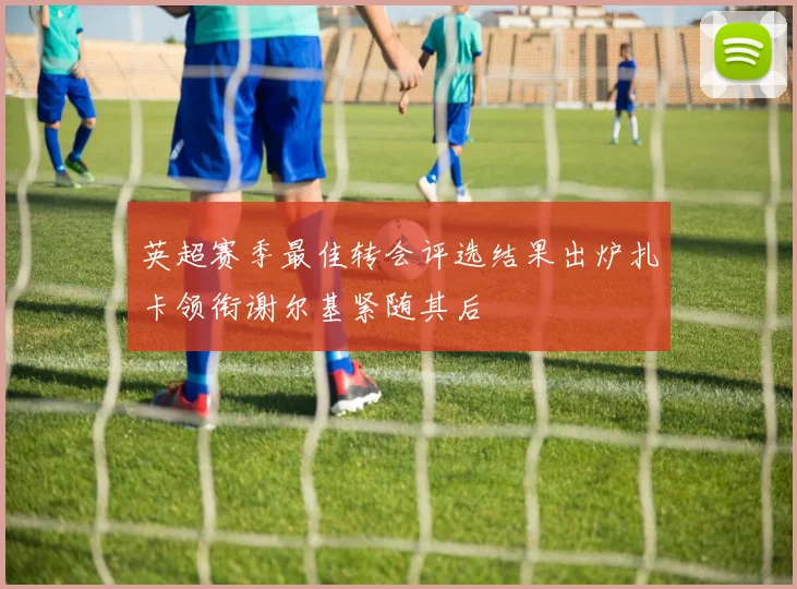 英超赛季最佳转会评选结果出炉扎卡领衔谢尔基紧随其后